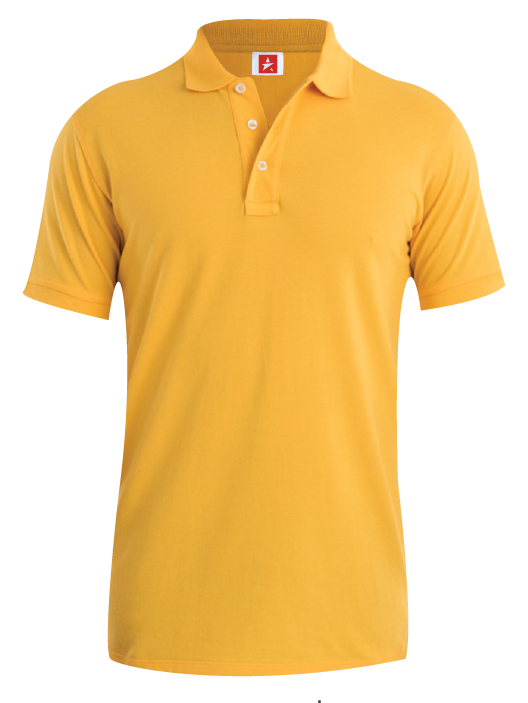 Polo Caballero